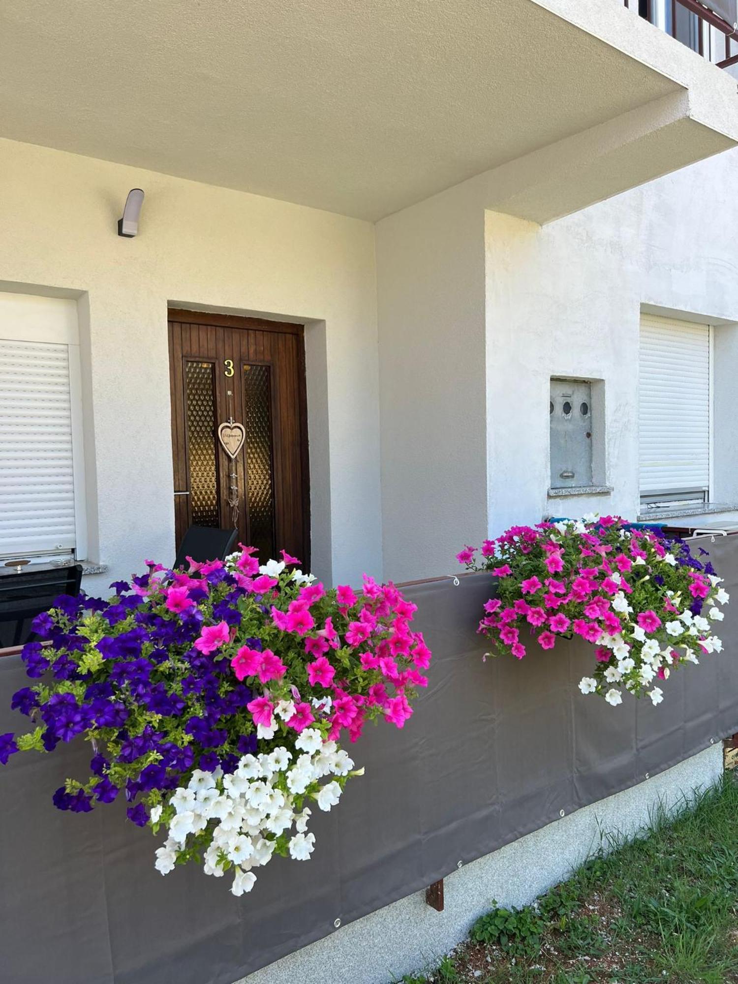 3Level Apartments Kroatien ウマグ エクステリア 写真